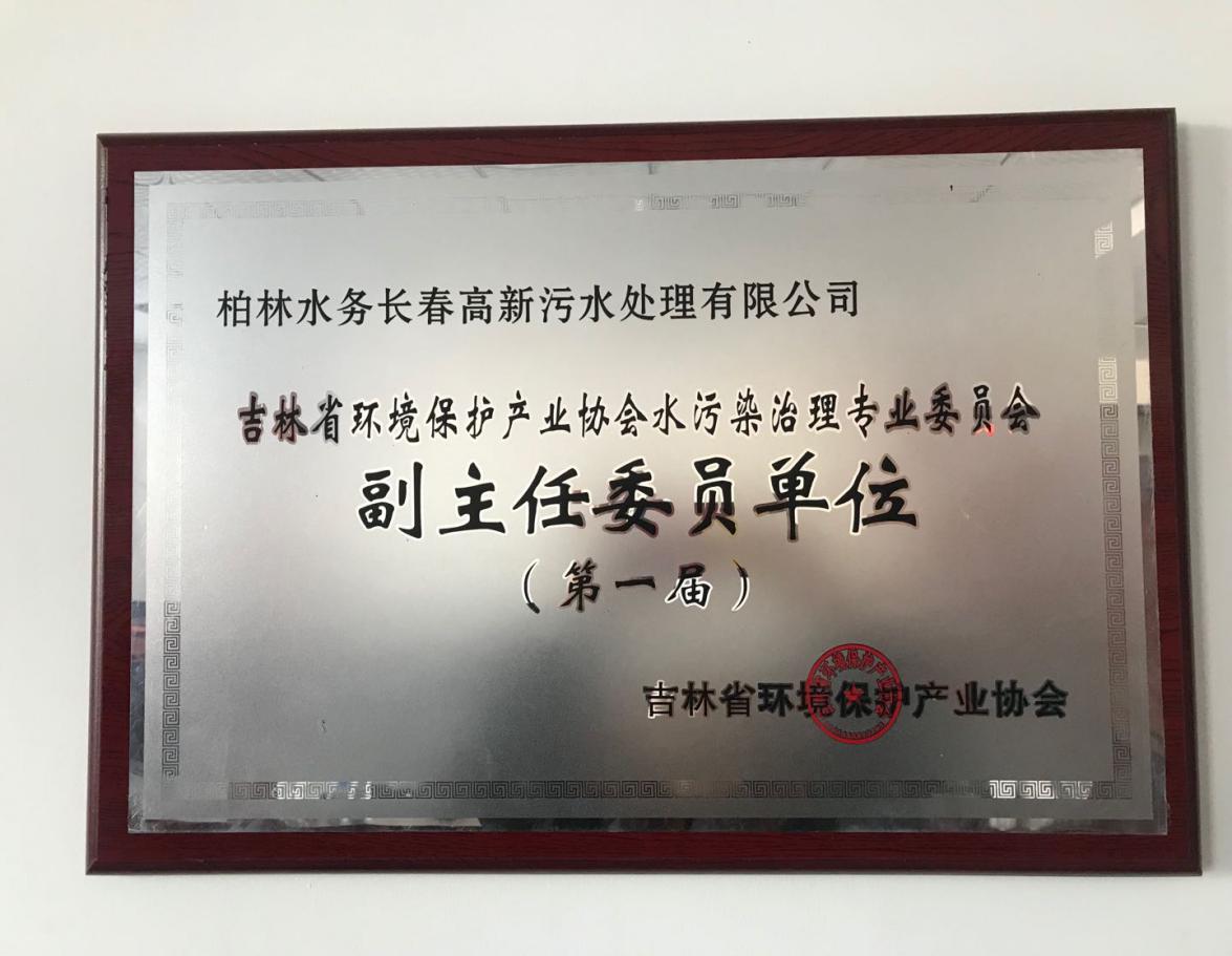 2015年度吉林省環境保護產業協會副主任單位